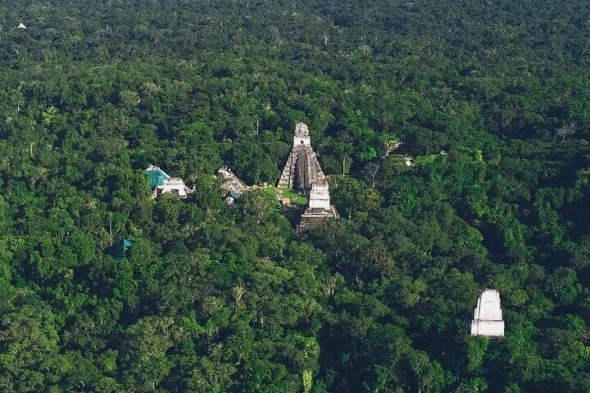 Full-Day Collective Tour in Tikal from Flores Peten with Lunch