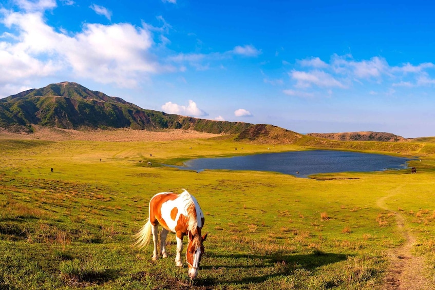 Picture 5 for Activity Fukuoka: The Aso Caldera & Wagyu Lunch 1Day Private Tour