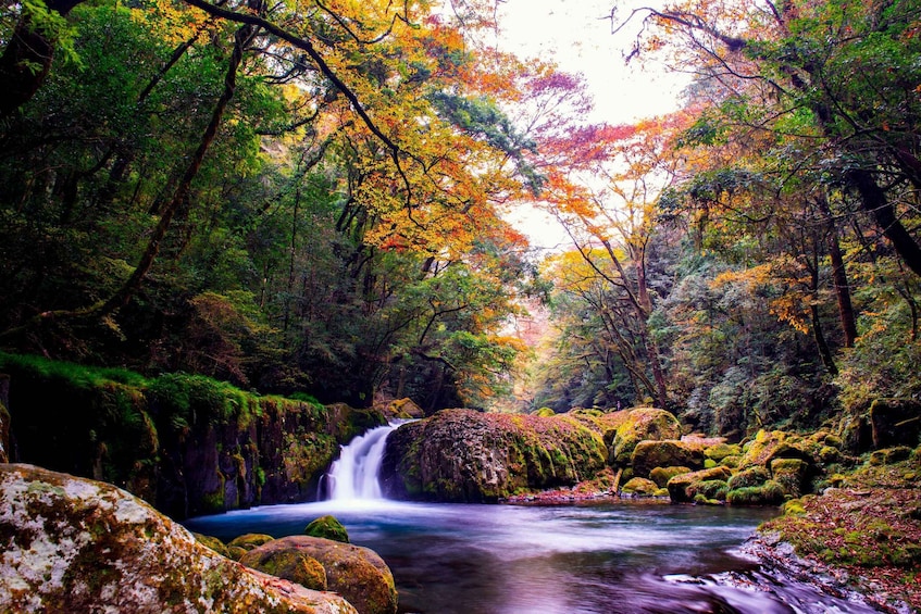 Picture 2 for Activity Fukuoka: The Aso Caldera & Wagyu Lunch 1Day Private Tour