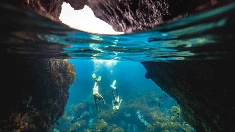 Guided Snorkeling and Island Exploration in Auckland