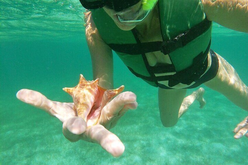 Private Swimming with Turtles Activity in Akumal Bay