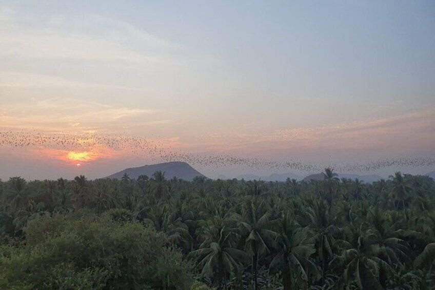 Battambang City Highlight Hidden Gems Private Guided Tour