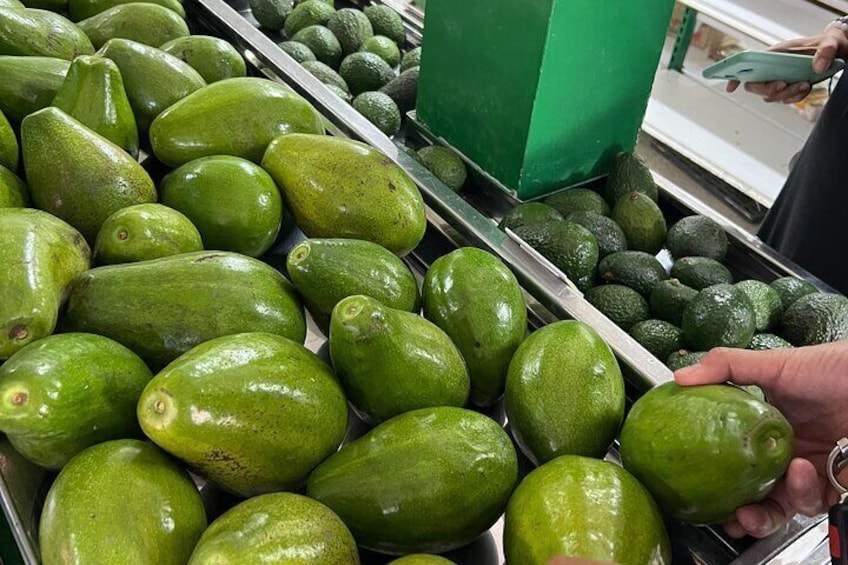 Beautiful avocados, choose yours