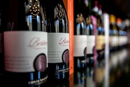 Wine Tasting and Winery Tour of Oltrepò Pavese Tradition