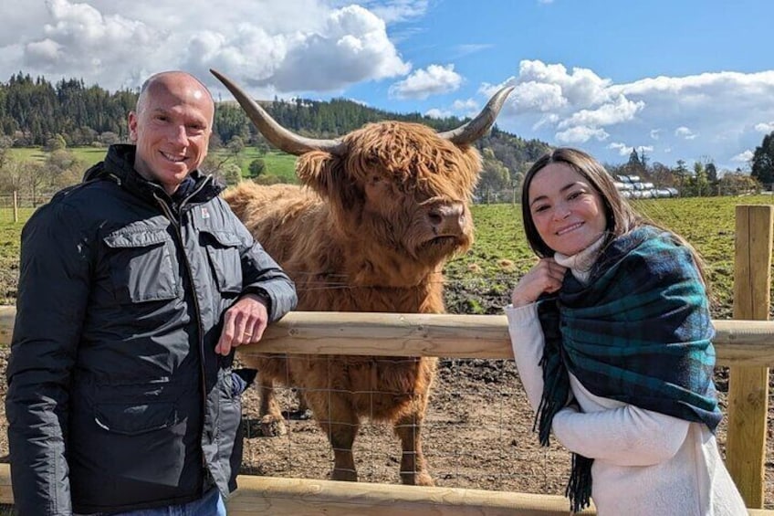 Ultimate Scottish Highlands Private Day Tour from Edinburgh