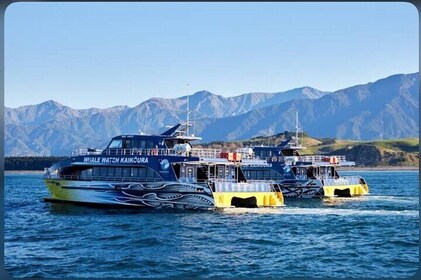 Private Kaikoura Whale Watching Day Trip From Christchurch