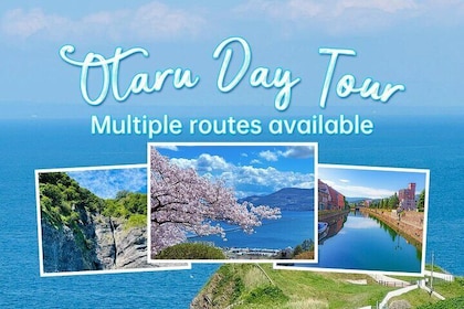 Hokkaido Otaru Private Full Day Tour (Depart from Sapporo)