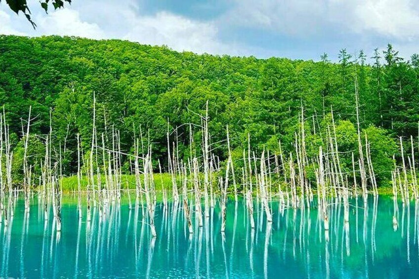 Blue Pond in Spring