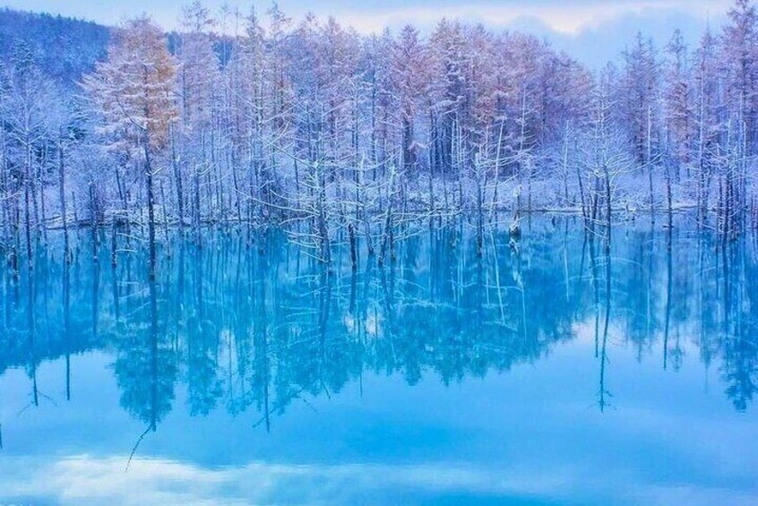 Blue Pond in Winter
