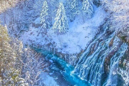 Shirogane Pond and Farm Tomita Day Tour from Sapporo