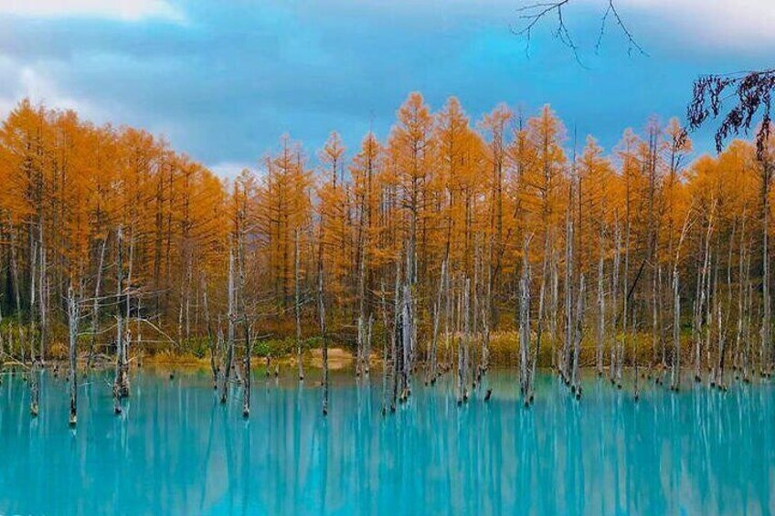 Blue Pond in Autumn