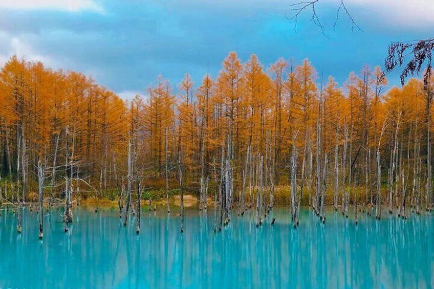 Blue Pond in Autumn