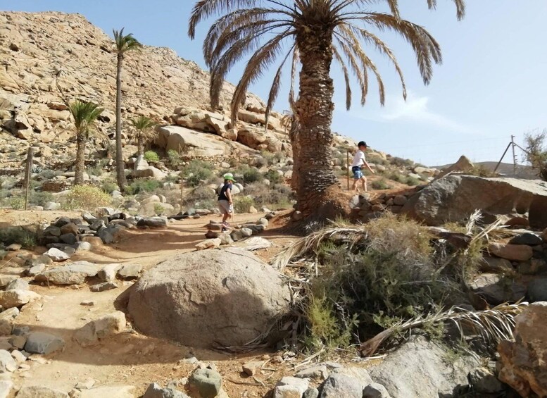 Picture 15 for Activity Fuerteventura: Ajuy Caves & hike to secret Las Penitas Arco