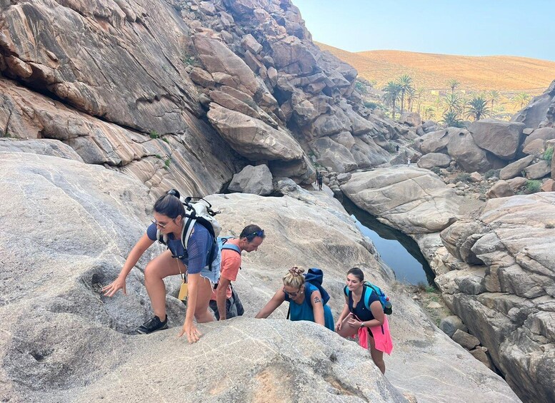 Picture 11 for Activity Fuerteventura: Ajuy Caves and Secret Las Penitas Canyon Hike