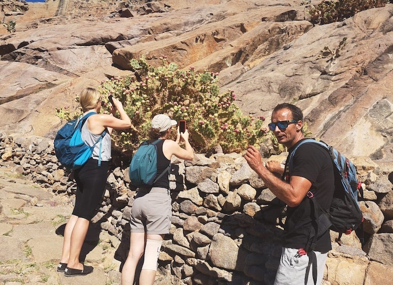 Picture 23 for Activity Fuerteventura: Ajuy Caves and Secret Las Penitas Canyon Hike