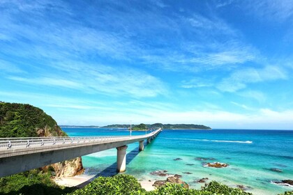 Fukuoka: Yamaguchi 4 Highlights & Karato Market 1Day Tour