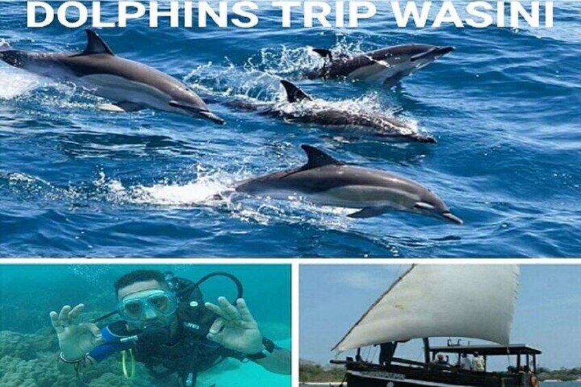 Elky Wasini Island Day Trip