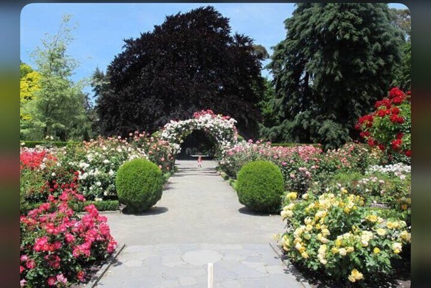 Botanical Garden