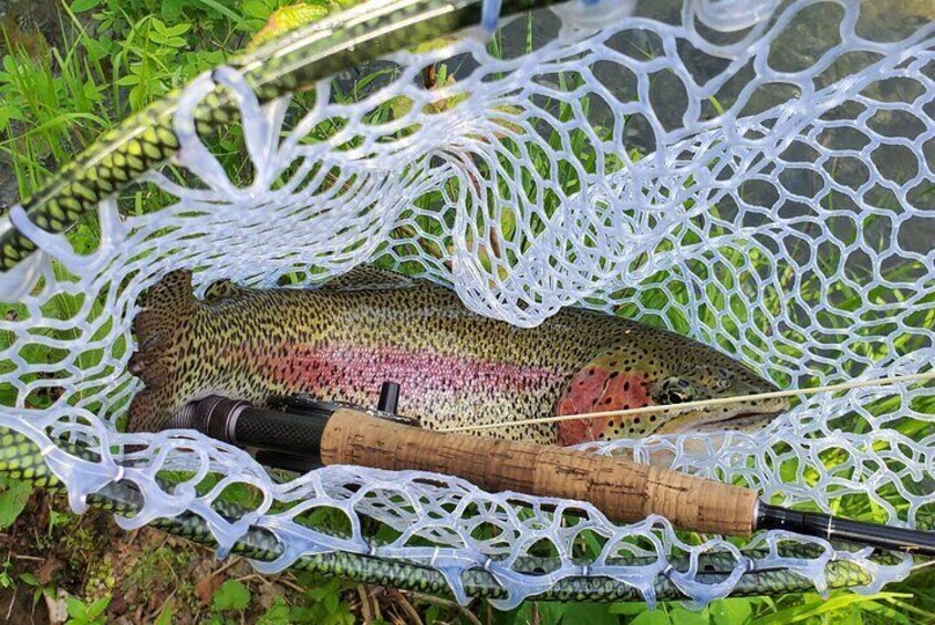 Anchorage Guided Fly-fishing