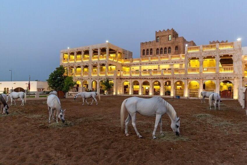 Doha City Tour (Private Tour)