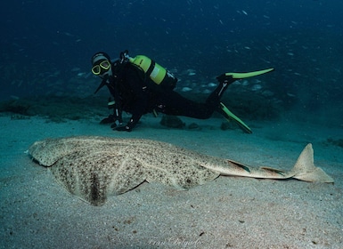 Lanzarote: SSI Open Water Diver Course