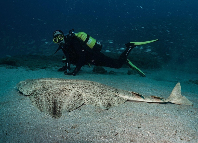 Lanzarote: SSI Open Water Diver Course