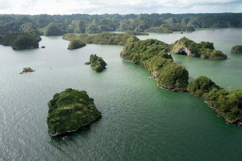 Haitises National Park: Tropical Paradise of Mangroves and Caves