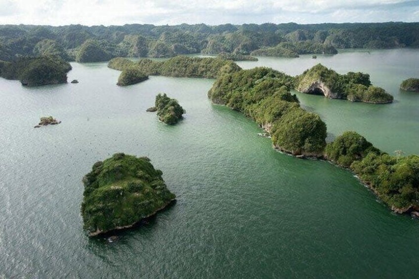 Haitises National Park: Tropical Paradise of Mangroves and Caves