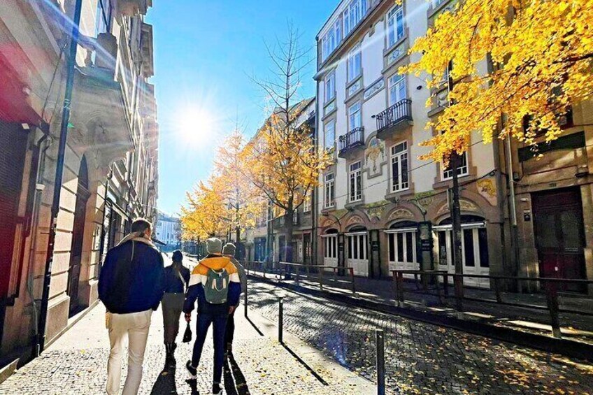 Private Walking Tour in Porto city 