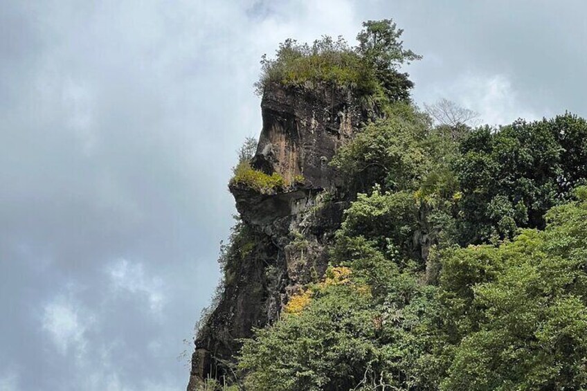 Half Day Hiking Adventure to Gorilla Rock from Saint Vincent