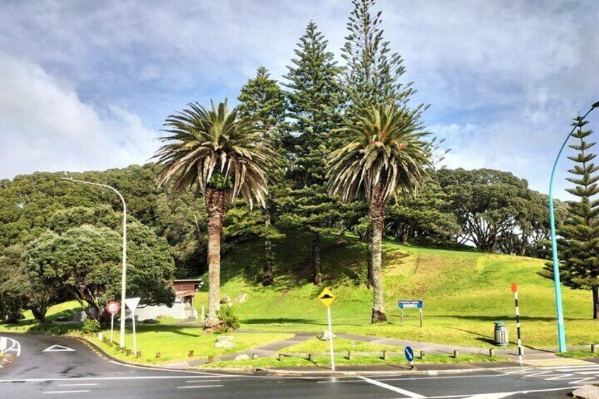 Hopukiore, past location for tribal arts of carving and ta moko(tattooing)