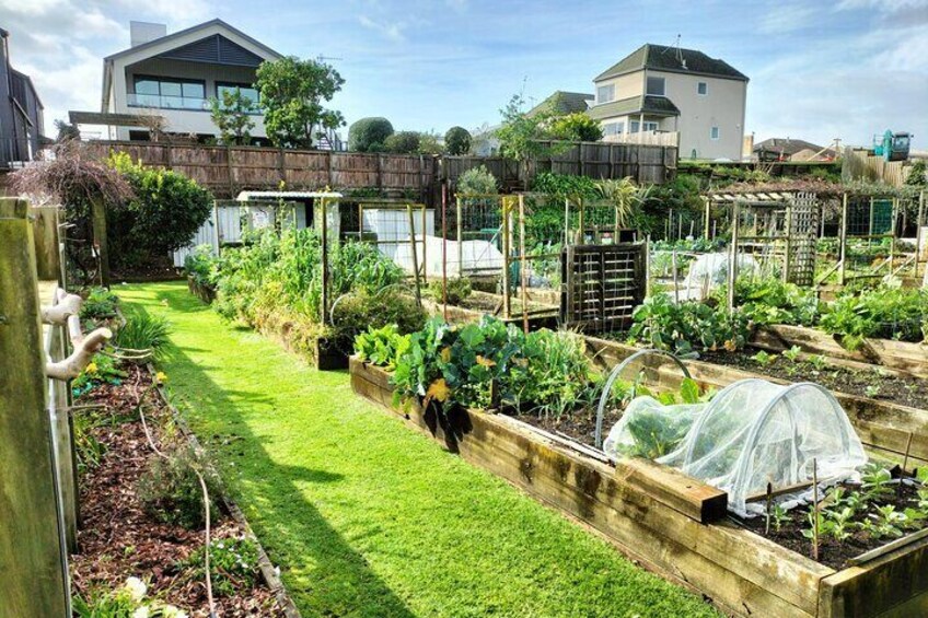 A hidden gem where the local community grow food for sustainability