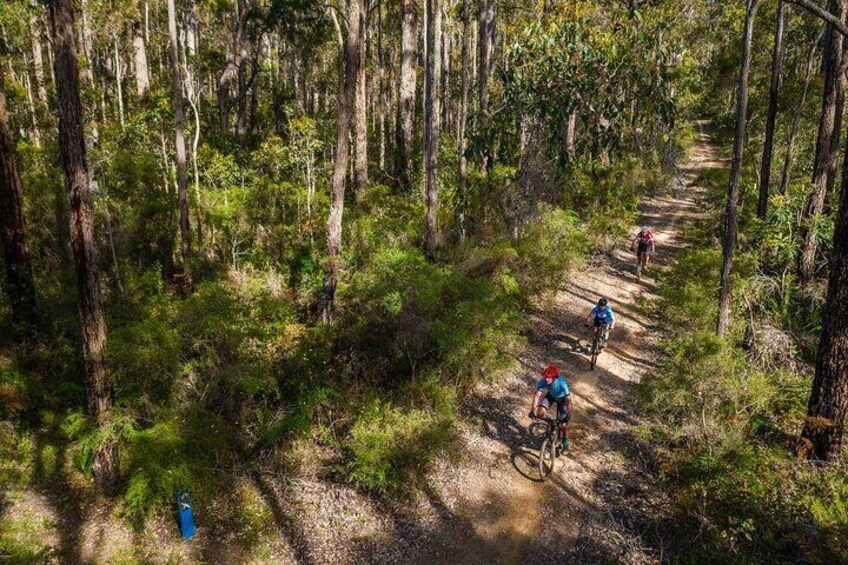 Margaret River Mountain Bike Tour