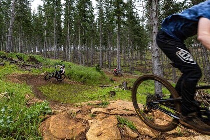 Margaret River Mountain Bike Tour