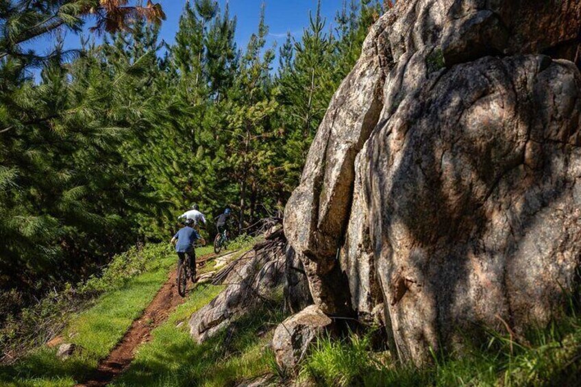 Margaret River Mountain Bike Tour