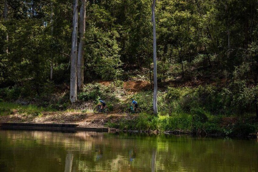 Margaret River Mountain Bike Tour