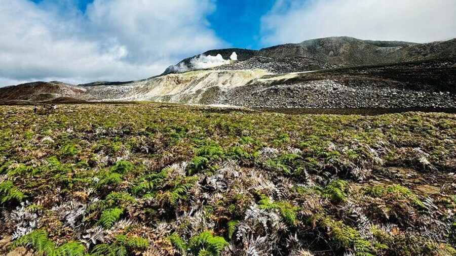 Half Day Hiking Tour in Isabela Island Sulfur Mine