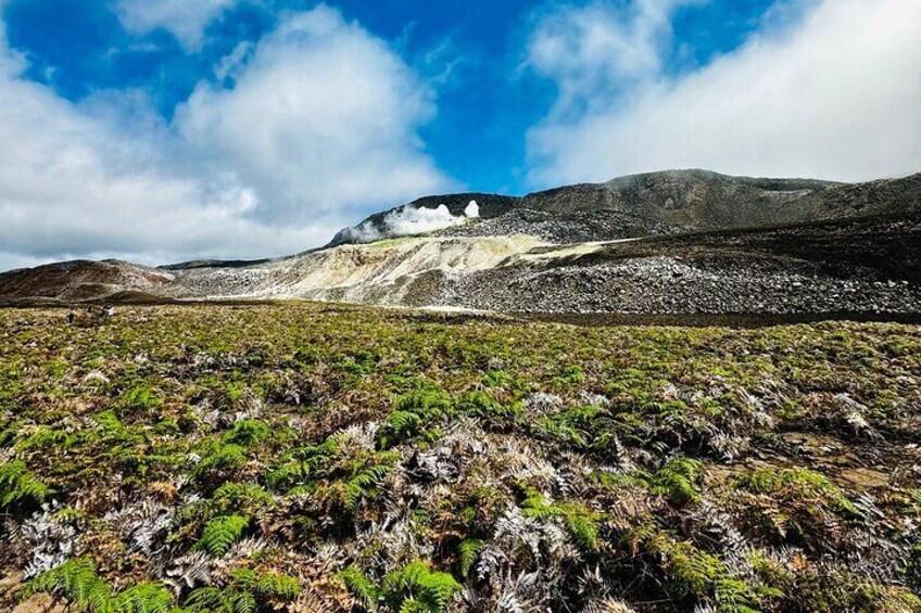 Half Day Hiking Tour in Isabela Island Sulfur Mine