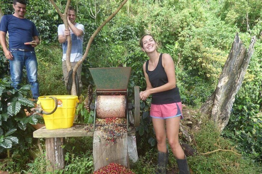 coffee process