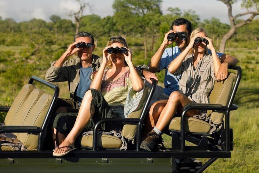 7 Days Private Uganda Gorilla Tracking Safari Tour From Entebbe