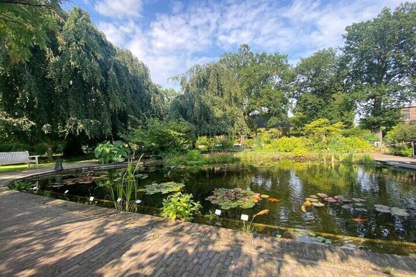 Self Guided Walking Tour at Leiden 