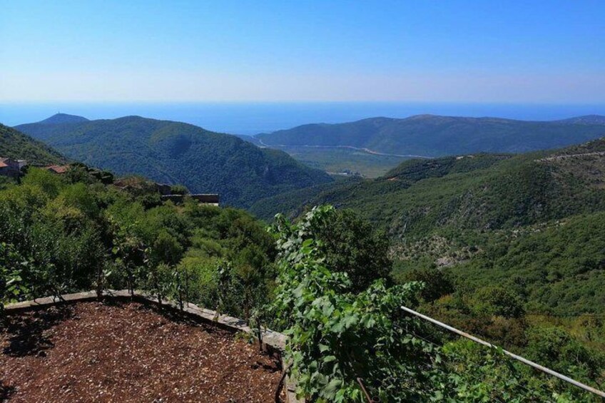 Unique lunch experience with locals in high hills above Budva!