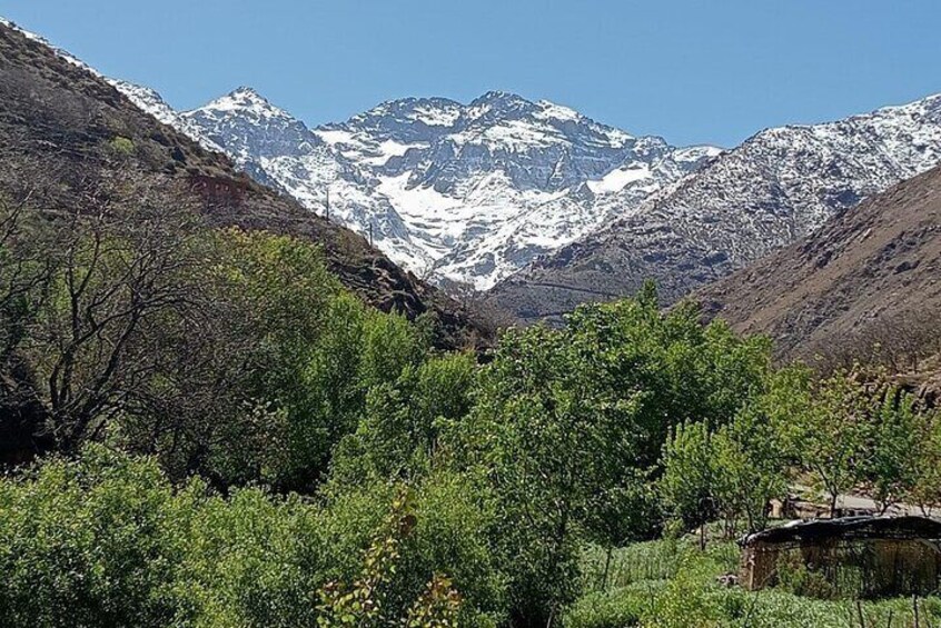 Day Trip to Atlas Mountains from Marrakech