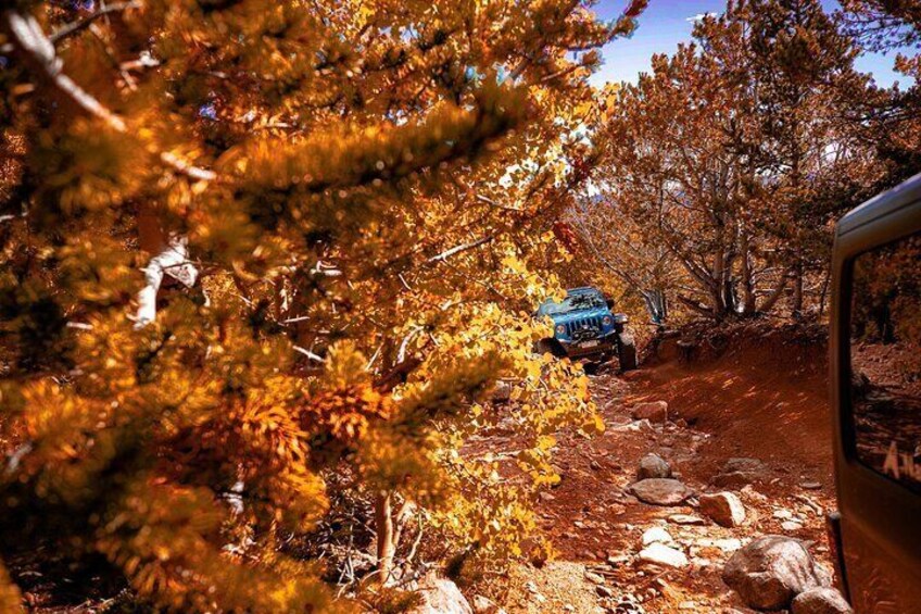 Colorado Fall Special: YOU Drive Leaf Peeping Adventure