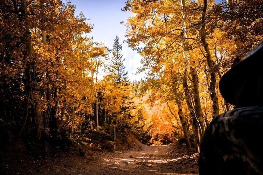 Colorado Fall Special: YOU Drive Leaf Peeping Adventure