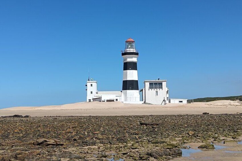 Guided Port Elizabeth Coastal Tour 