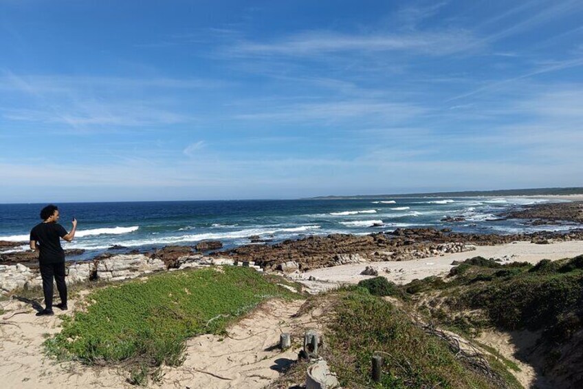Guided Port Elizabeth Coastal Private Tour 