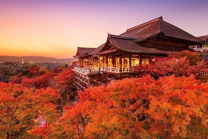 Kyoto Fullday Tour Kinkakuji, Kiyomizu-dera and Fushimi Inari