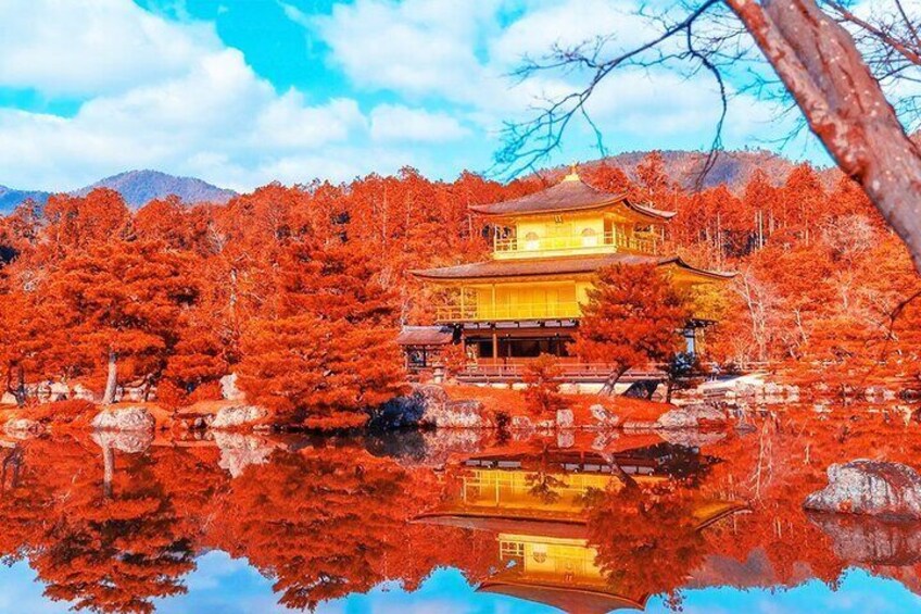 Kyoto Fullday Tour Kinkakuji, Kiyomizu-dera and Fushimi Inari 