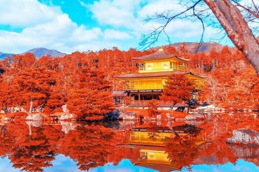 Kyoto Fullday Tour Kinkakuji, Kiyomizu-dera and Fushimi Inari